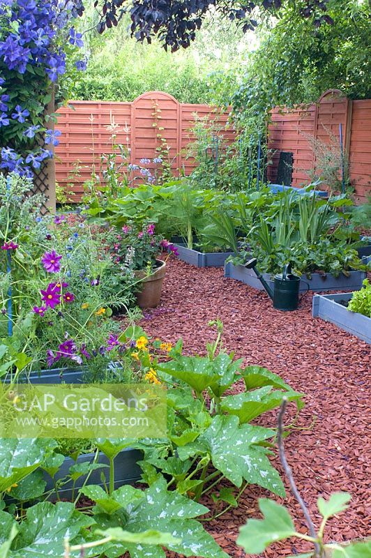 Square vegetable garden on wooden red mulch 