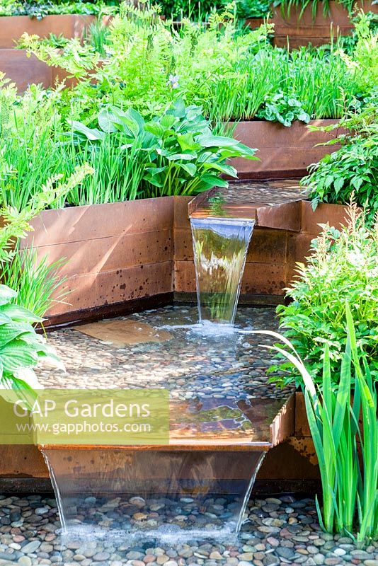 A Garden for First Touch at St Georges: Detail of stream contained by corton steel sides with hostas, ferns and iris - Designer: Patrick CollinsSponsors: St Georges Hospital and Medical School, Tendercare, Landscape Associates2014 RHS  Chelsea Flower Show garden awarded Silver Gilt medal