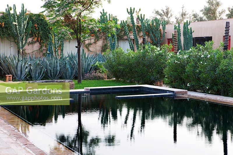 Swimming pool in Moroccan garden 
