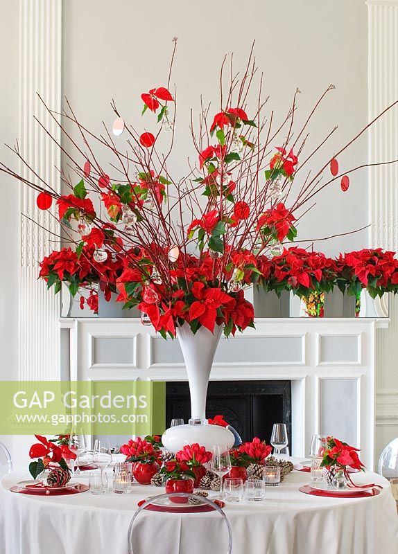 Dining table in white setting decorated with white vase centre piece filled with Poinsettia 'Christmas Feelings Red'