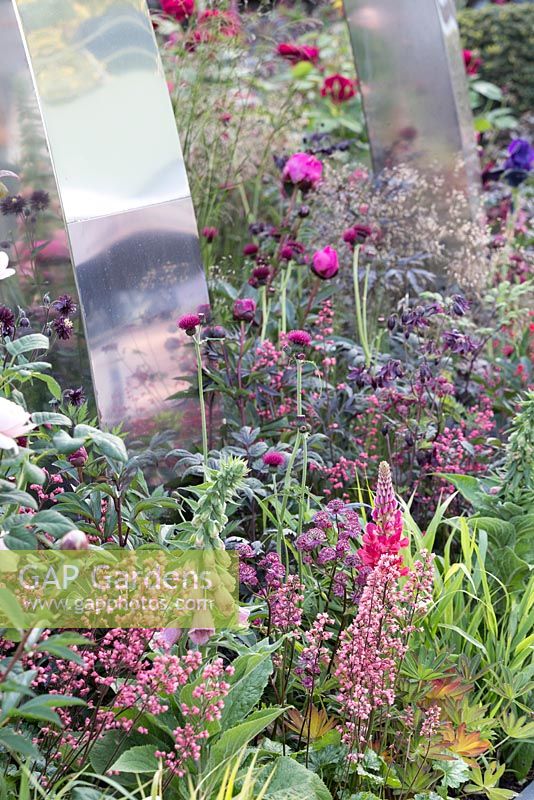 Warm pink and red informal planting with Cirsium, Astrantia, Heucheras and Peonies. Positively Stoke-on-Trent. Chelsea Flower Show 2014
