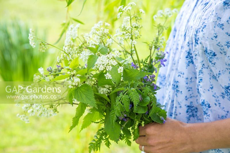 Woman holding bouquet of Anthriscus sylvestris and Nepeta