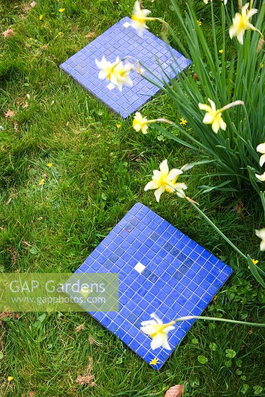 Blue mosaic paving slabs in grass next to narcissi - stepping stones in lawn 