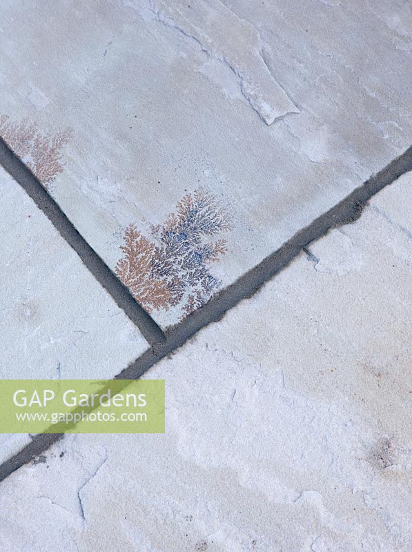 Close up of paving showing mortar applied to cracks with a pointing iron and then brushed clean an hour later.