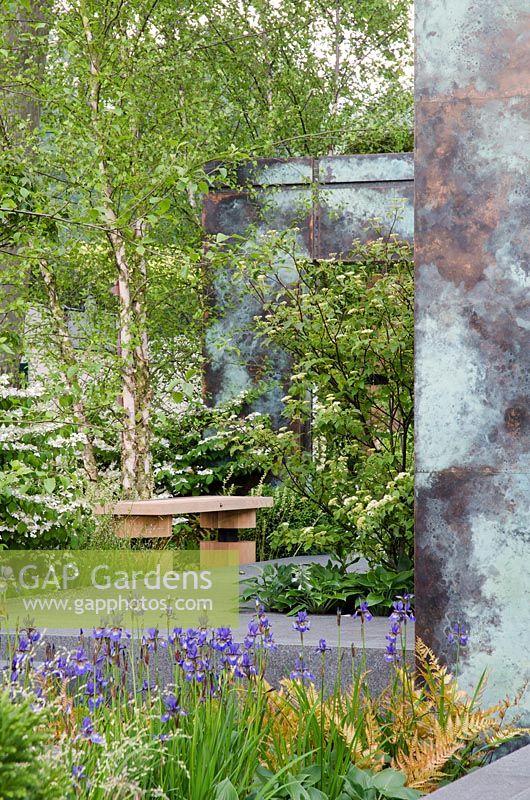 Bench next to Betula nigra, Iris sibirica in foreground. RHS Chelsea flower show 2014 - The Brewin Dolphin Garden, awarded silver gilt