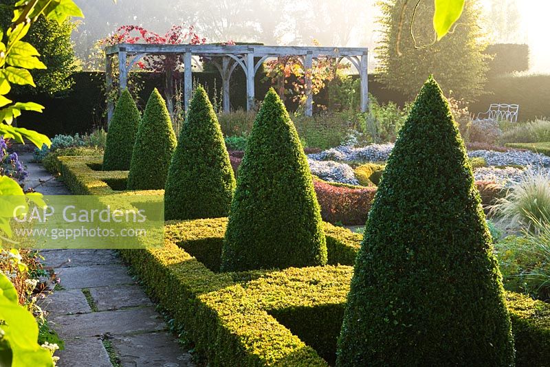 The hedged in formal garden at dawn with box and berberis hedging and topiary. Waterperry Gardens, Oxfordshire