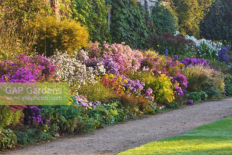 View of the long border at dawn in autumn. Waterperry Gardens, Oxfordshire