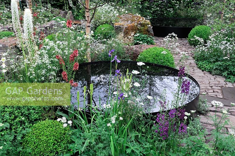 Large water container with black dye. Borders along cobble stone path, clipped buxus domes, cow parsley, verbascum  - Vital Earth the Night Sky garden. 