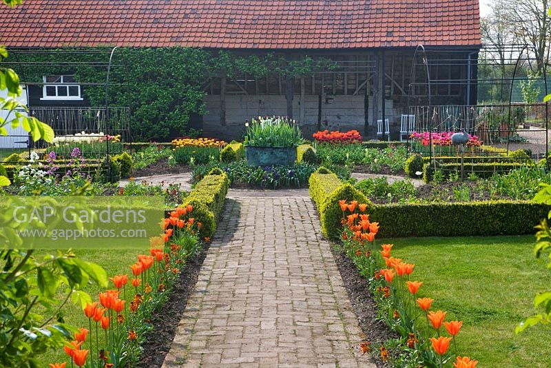 The cutting garden with brick path surrounded by tulip 'Ballerina', tulips in box edged beds, copper container planted with tulip 'Queen of Night'