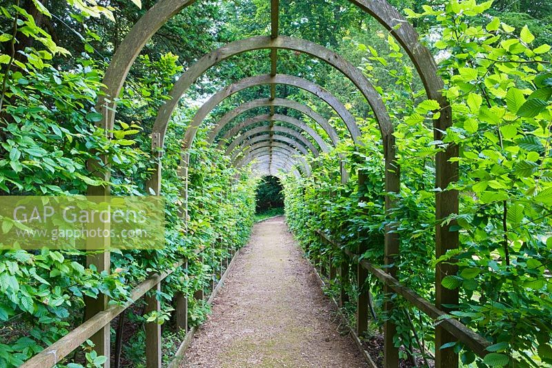 Pergola walkway. Painswick Rococo Garden, Gloucestershire 