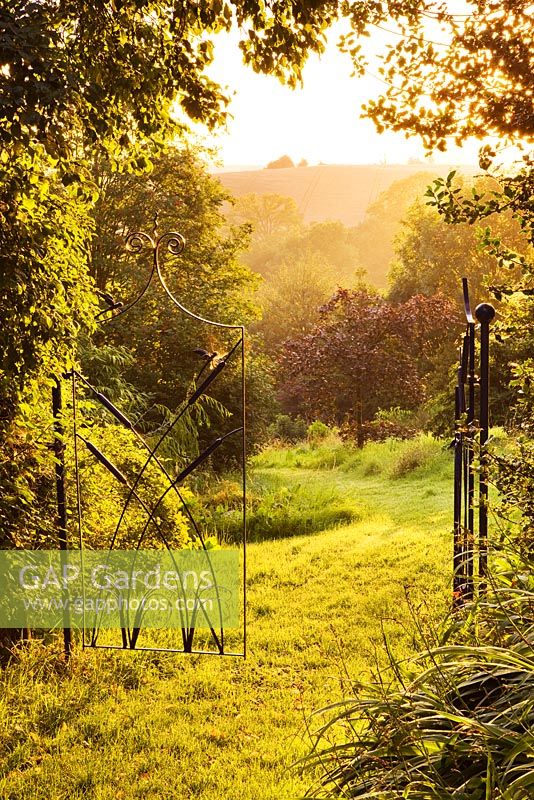 Grass path leading out of grass garden with beautiful iron gates - dawn 