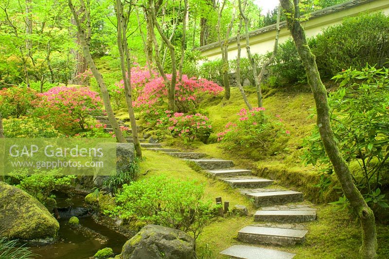 Portland Japanese Garden, Portland, Oregon. Spring.