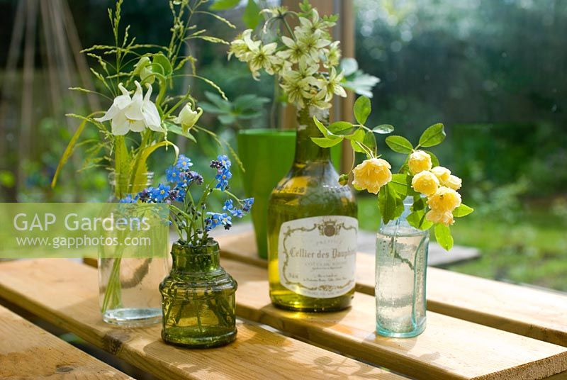 Arrangement of cut flowers from garden in small glass bottles including Myosotis - Forget me nots, Clematis, Aquilegias and Rosa banksii 
