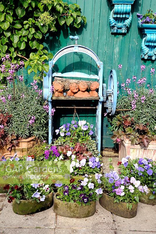 Terracotta busts displayed on old mangle with Erysimum - Wallflowers probably Bowles Mauve each side and Pansies in terracotta containers in front, St. Regis Close, Muswell Hill, London Borough of Haringey.