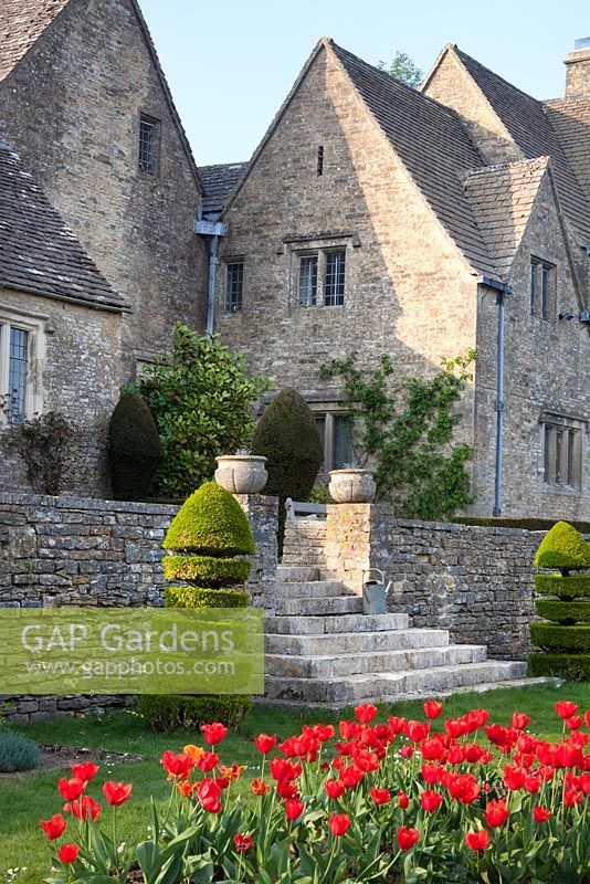 Topiary a feature of the garden - Cotswold Farmhouse 