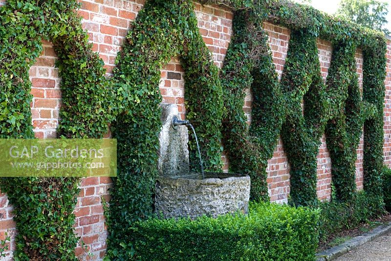 Wall with stone sink water feature set into pattern of ivy trained on wires in repetitive pattern.  Seend, Wiltshire