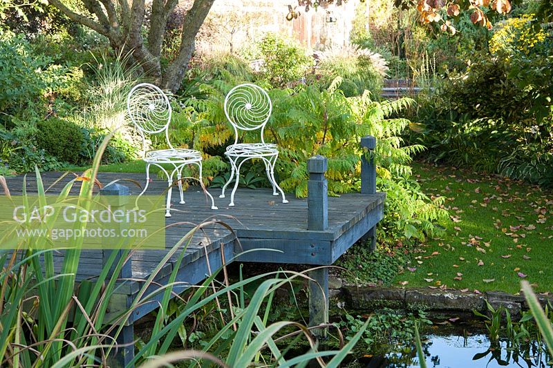 Chairs on decking beside pond with Rhus typhina 'Dissecta' - Windy Ridge