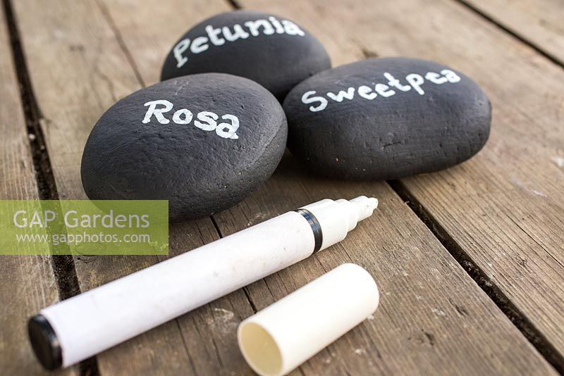 Rosa, Petunia and Sweetpea pebble labels. 