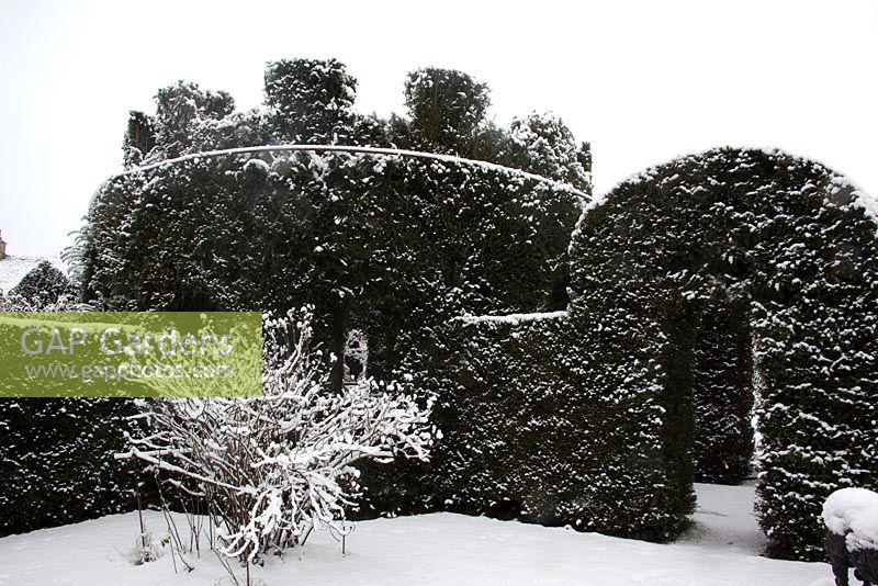 The central yew castle - Cantax