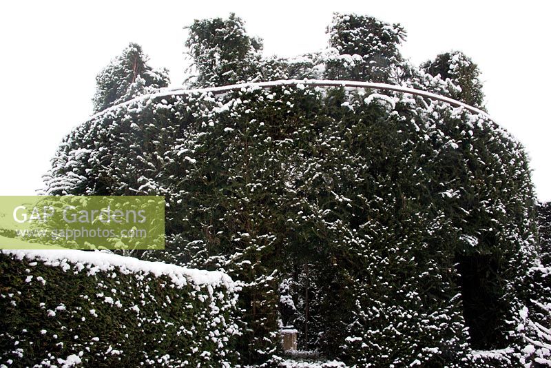 Central yew castle - Cantax