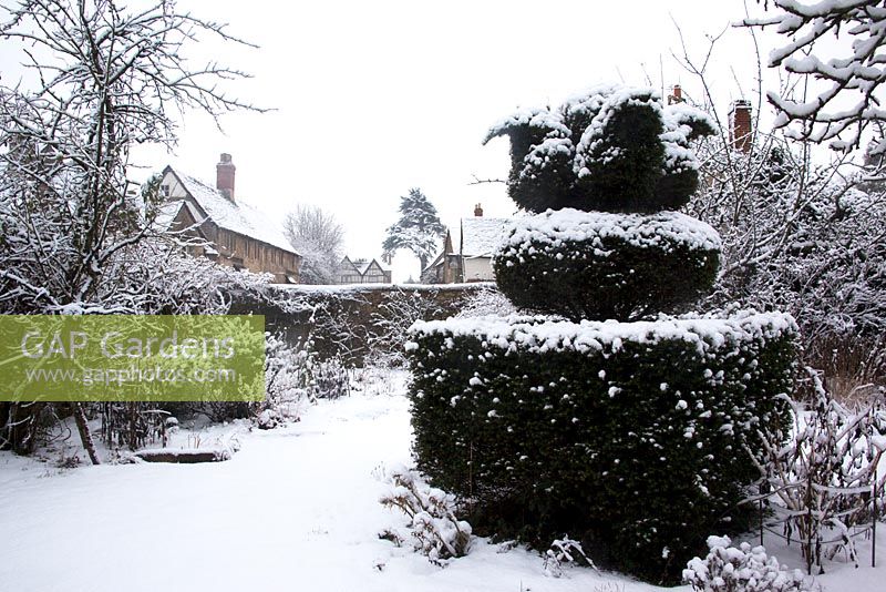 Snow covered topiary crown - Cantax