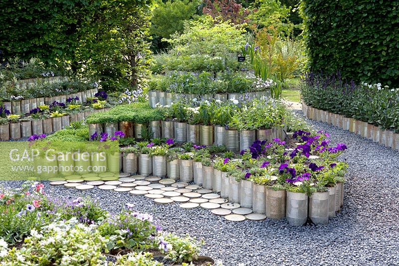 Title: Mis en Boite. Hundreds of tin cans stacked and built as borders. All filled with plants and herbs - Campanula,  Lavandula, Origanum