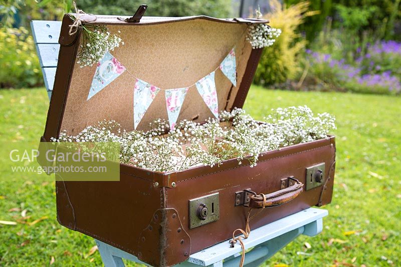 Vintage suitcase to put wedding cards in, decorated with Gypsophila. 