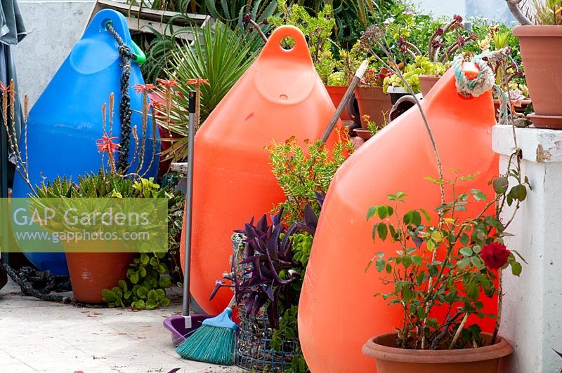 Succulents and Rosa in terracotta and recycled containers in a Mediterranean seaside summer garden with old fishing floats