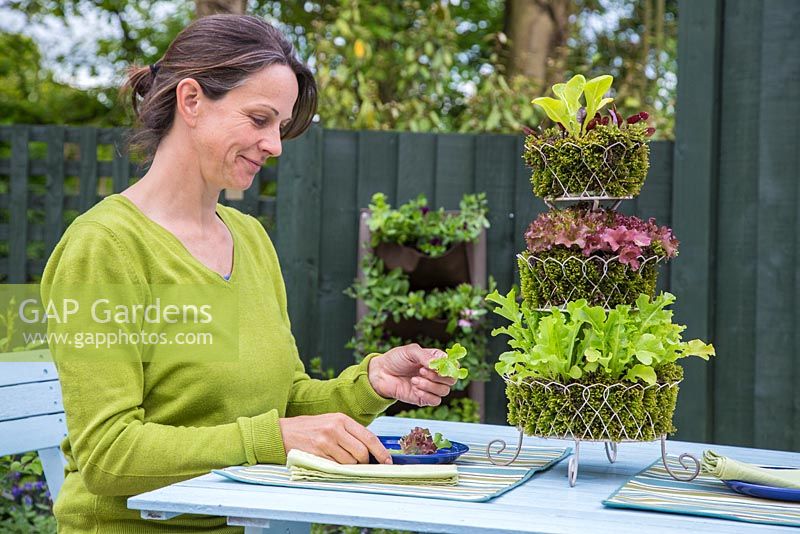 Woman picking lettuce to eat from a tiered planter