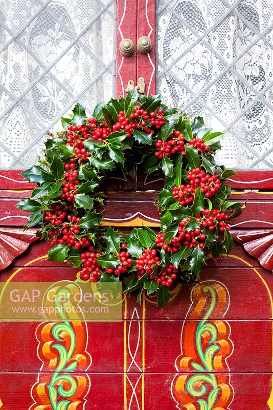 Holly wreath on door of gypsy caravan. Ilex