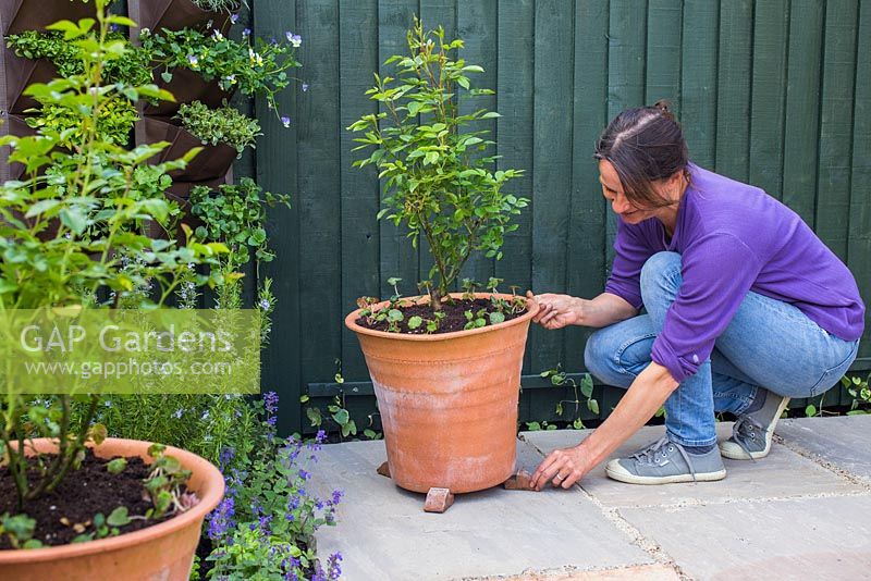 Adding pot feet to raise container off the ground. 