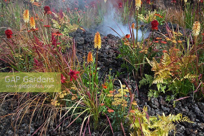 Planting includes Kniphofia 'Tetbury Torch', Achillea 'Walter Funke' and Achillea 'Terracotta' with volcano themed smoke, lava and ash - Eruption of Unhealed Anger, RHS Hampton Court Flower Show 2014