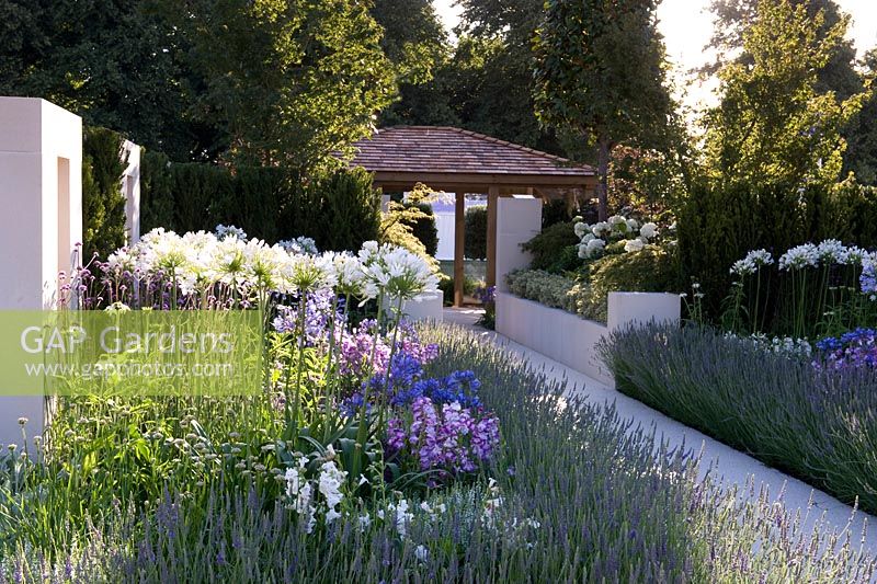 The Just Retirement Garden. White agapanthus and lavender in rows in raised bed beside a central axis path towards garden building pavilion. Designer: Jack Dunckley Sponsor: Just Retirement Silver-Gilt medal 