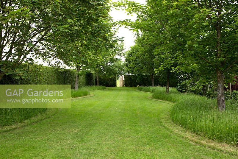 Curving wide mown path to gate, wild grass fringe under trees, hedging, early summer