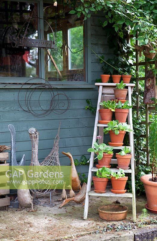 Rustic arrangement with pots on ladder, sculptures and shed