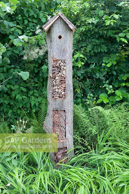 Jordans Wildlife Garden - view of garden bird box made from old tree with bug and insect hotel 