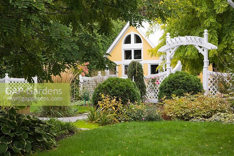 White wooden arbour with trellis fence in front garden in autumn. Plantings include globe shaped cedar 'Thuja occidentalis' trees and an artist's workshop. Il Etait Une Fois garden, Monteregie, Quebec, Canada. 
