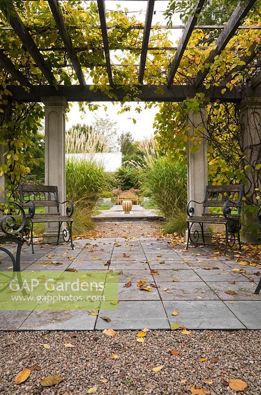 Wooden garden chairs and fallen leaves on flagstones underneath a wood and concrete pergola covered with Actinidia kolomikta 'Arctic Beauty' in backyard garden in autumn. Il Etait Une Fois garden, Monteregie, Quebec, Canada. 
