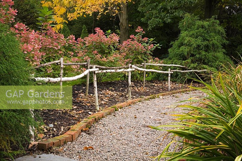 Gravel path through borders edged with red bricks and a Betula - birch tree, rustic fence in back garden in autumn. 