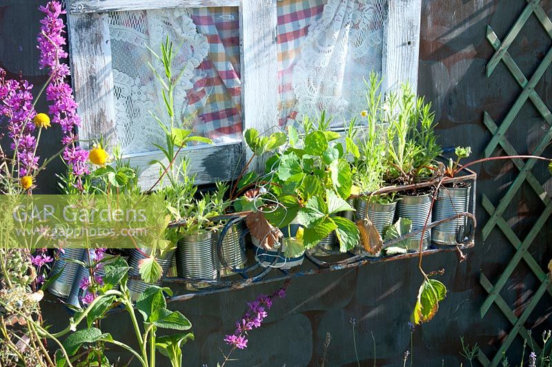 Wendy house with metal window box and plants growing in recycled tin cans