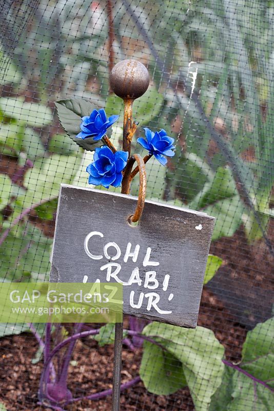 Slate plant label, Cohl Rabi 'Azur' with rusted iron support and blue painted flowers