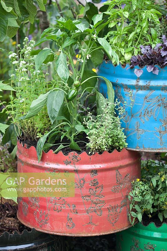 A space to Connect and Grow, recycled industrial materials, such as oil drums planted with vegetables. Designer: Jeni Cairns and Sophie Antonelli - Sponsor: Metal, Earls Scaffolding, British Sugar