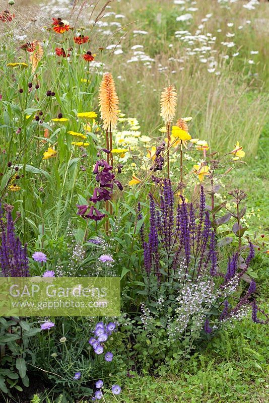 Jordans Wildlife Garden. Naturalistic planting with kniphofia, veronica and cow parsley. Designer: Selina Botham - Sponsor: Jordans Cereals