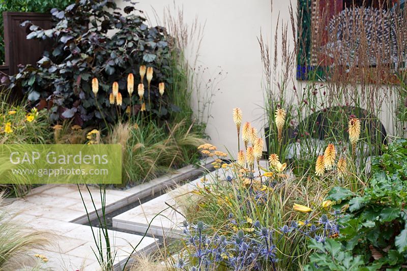 Hedgehog Street, borders planted with  kniphophia, eryngium oliverianum, carex and fagus sylvatica 'purpurea'. Designer: Tracy Foster - Sponsors: People's Trust for endangered species, PTES, British Hedgehog Preservation Society, BHPS