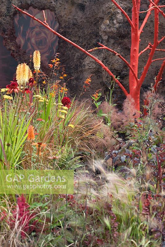 Wrath - Eruption of Unhealed Anger, hot and angry colours, of kniphofia, dahlia and a red painted tree bark - Designer: Nilufer Danis (Lotus Design Studio) 