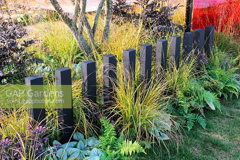 Ferns and grasses along dividing fence using painted timber posts. Description: Prehistoric Modernism. Designer: Alex Schofield