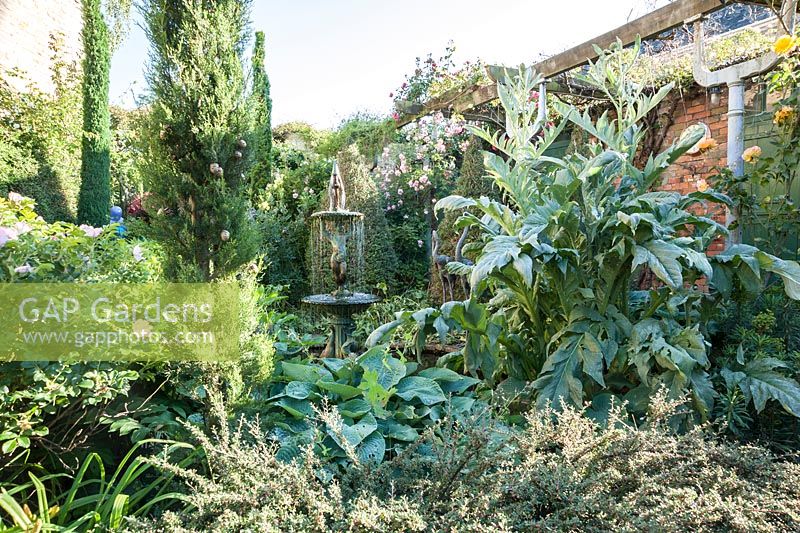 A fountain surrounded by strongly shaped foliage plants including hostas, Solomon's Seal, clipped lonicera, cardoons and tall thin conifers in a courtyard garden.