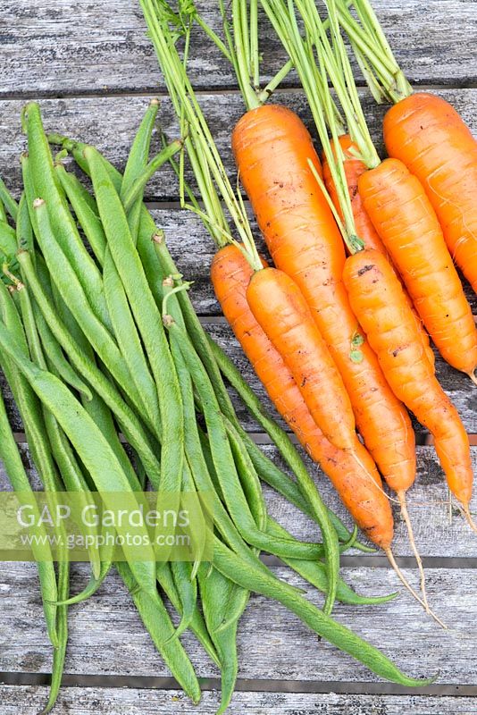 Home grown carrots and runnner beans on the patio table.