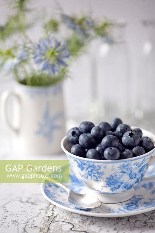 Blueberries - Vaccinium corymbosum in a teacup with Nigella damascena in a jug