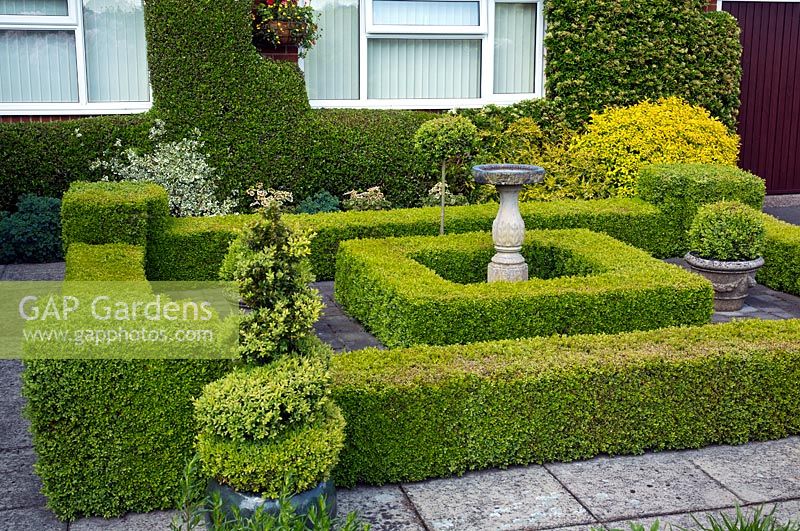 Buxux sempervirens shaped into hedges with ornate birdbath as focal point, with spiral and ball shapes in containers. The Beeches, Rocester, Staffordshire